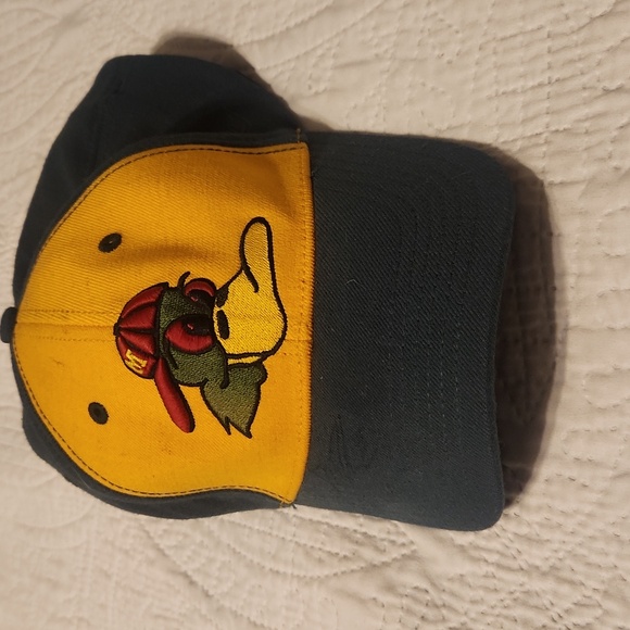 Madison Mallards vintage cap - Picture 1 of 4